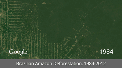 desmatamento-amazonia