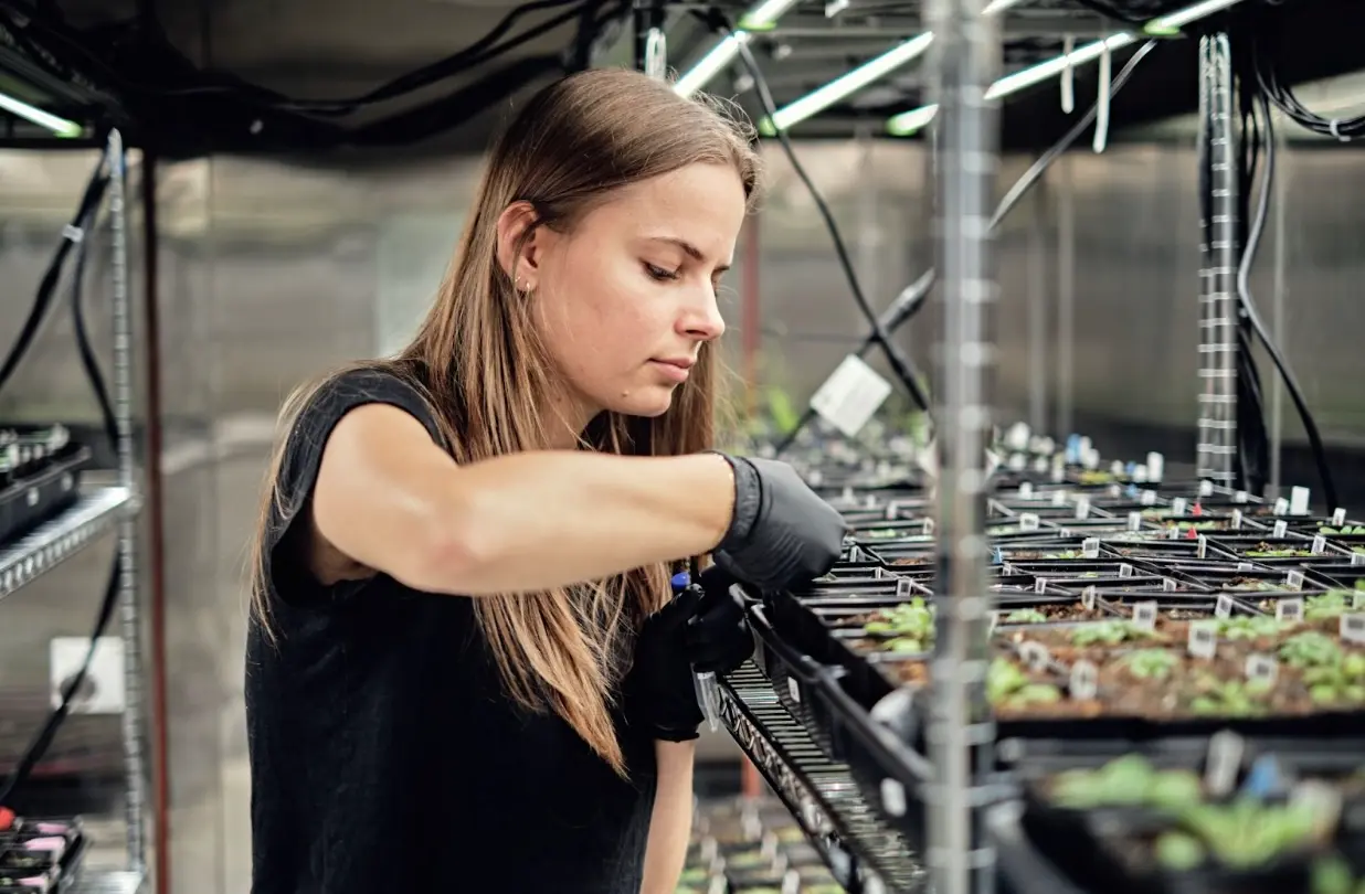 Google X dá vida à Heritable Agriculture: startup usa IA para salvar o planeta