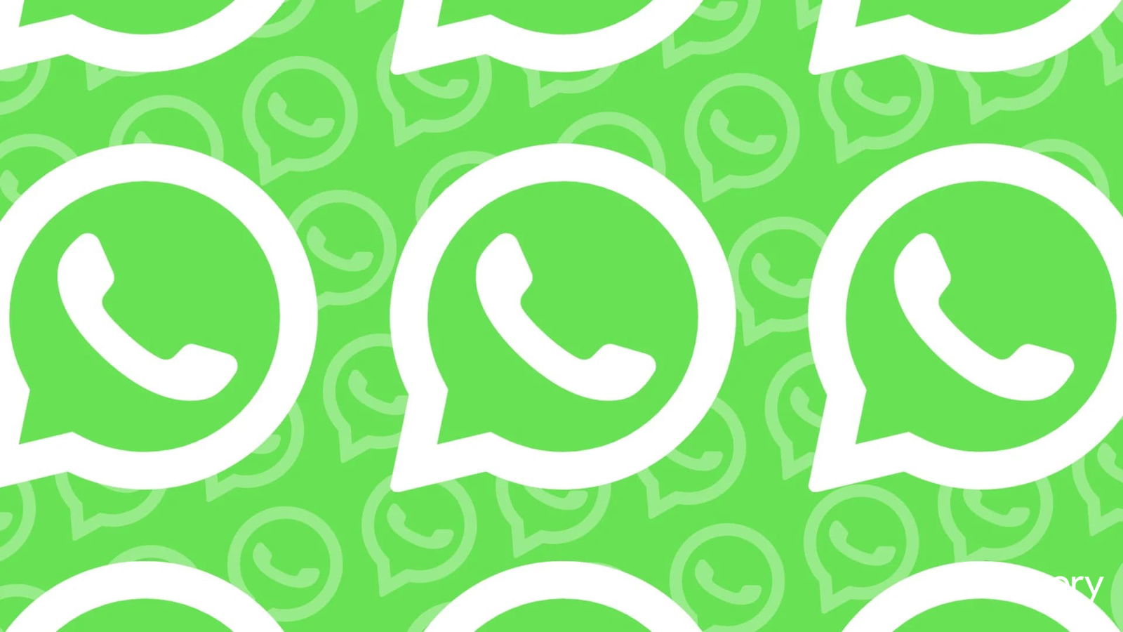 WhatsApp pode ter discador interno para facilitar chamadas sem salvar contato